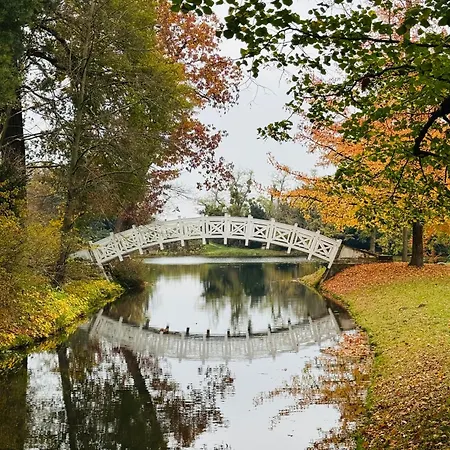 Ferienhaus 8 Personen ,,seegelblick Am Goitzschesee, Erste Reihe Am Mit Sauna, Kamin, Wallbox&sup Pouch